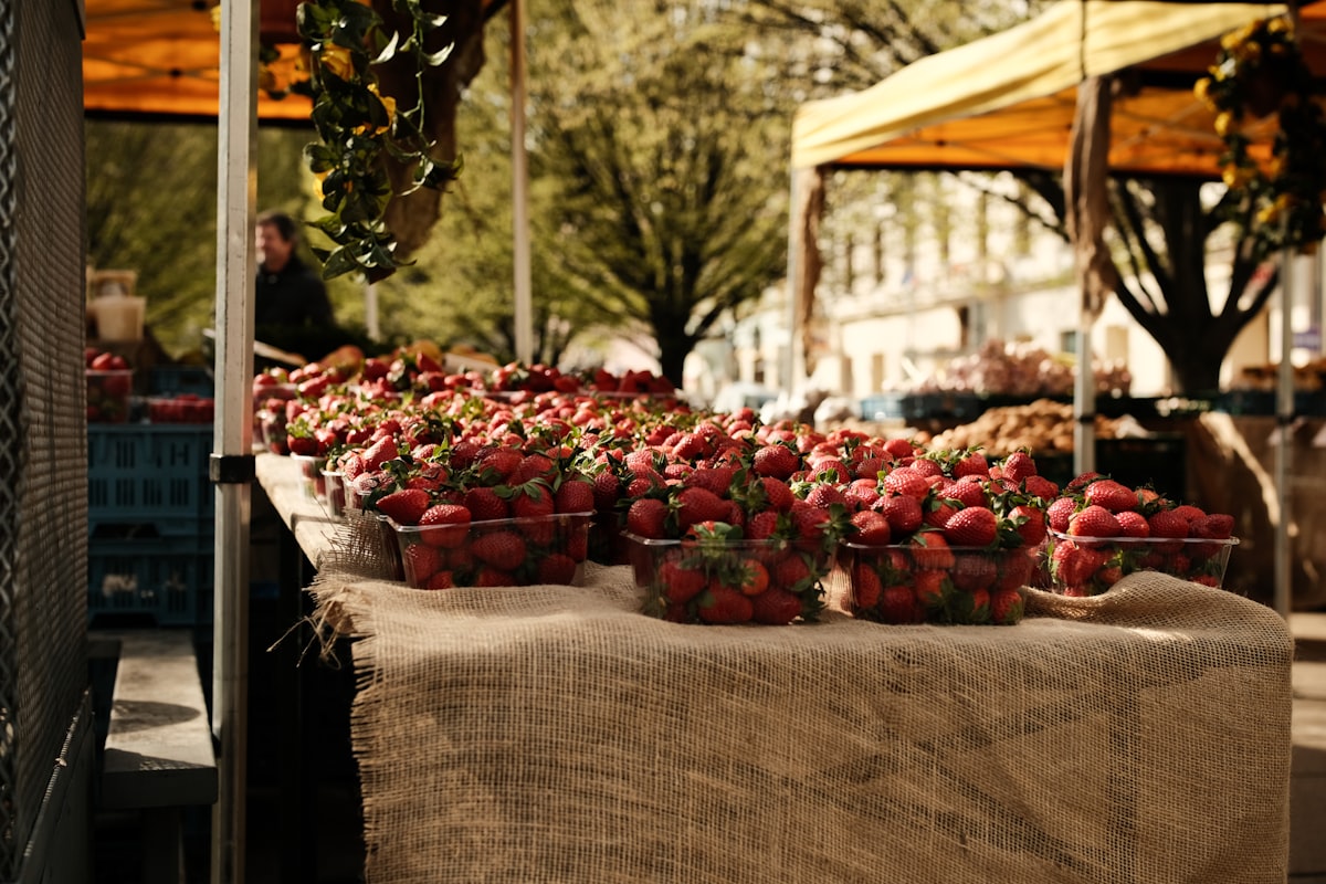 Blog articoli alimentazione